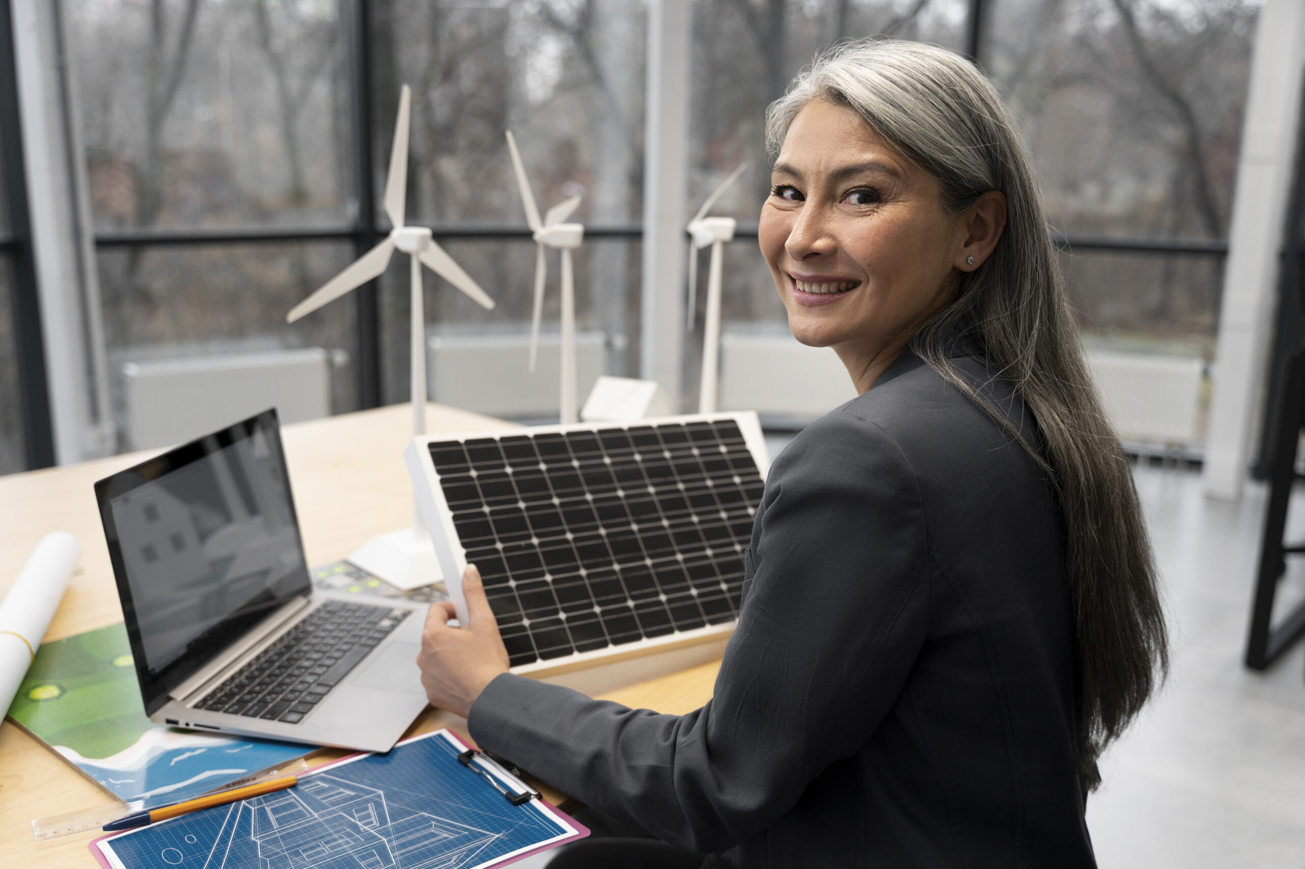 Indian Solar Firms Reroute Amid US Tariffs