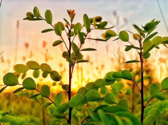 Sanjeev Kapoor Named Top Agri-Food Pioneer 2025