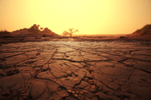 Parched Soils Trigger Droughts Across Borders