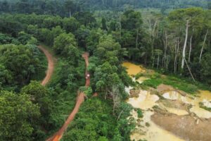 Ghana Bans Mining in Forest Reserves