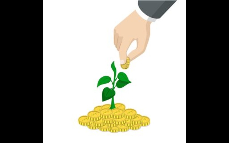 Google, Stripe Back NULIFE Carbon Removal Deal Through 2030