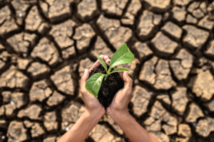 Why Soil Is Key to Solving the Climate Crisis