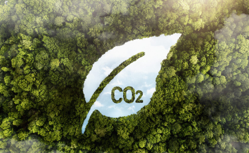 Global Carbon Markets Drive Net-Zero Transition